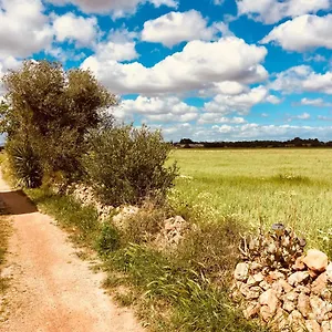 https://arthouse-campos.allmallorcahotels.com